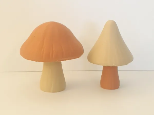 https://makerworld.bblmw.com/makerworld/model/USe35cbef0881221/design/2025-10-15_7401f5808ee0b.jpg