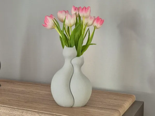https://makerworld.bblmw.com/makerworld/model/USe363f9dc53a15a/design/2025-03-15_7f34f520b8c288.jpg