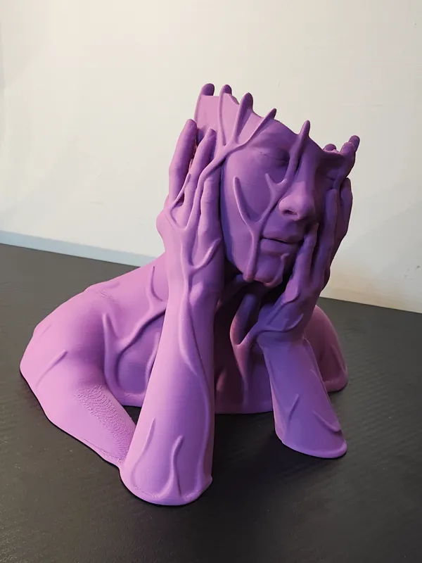 https://makerworld.bblmw.com/makerworld/model/USe364f31050ec52/design/2024-04-08_485b3eb200652.jpg