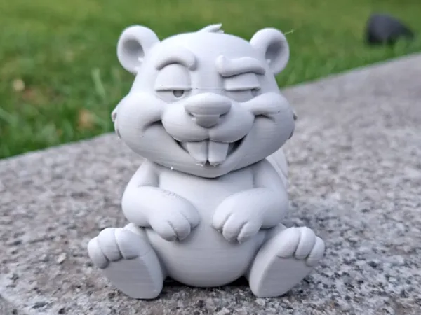 https://makerworld.bblmw.com/makerworld/model/USe3652372d137b5/design/2025-09-16_4a3792ad052908.jpg