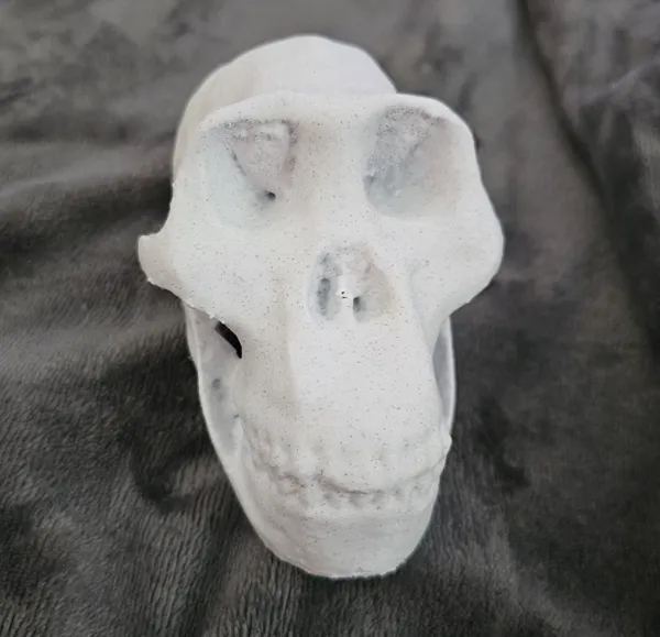 https://makerworld.bblmw.com/makerworld/model/USe367bf0ec5b0b7/design/2024-12-30_9c40f46707b1f.jpg