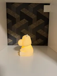 Lampe hippopotame LED — photo 5
