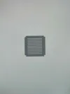 50mm - 10x10 5mm grid.