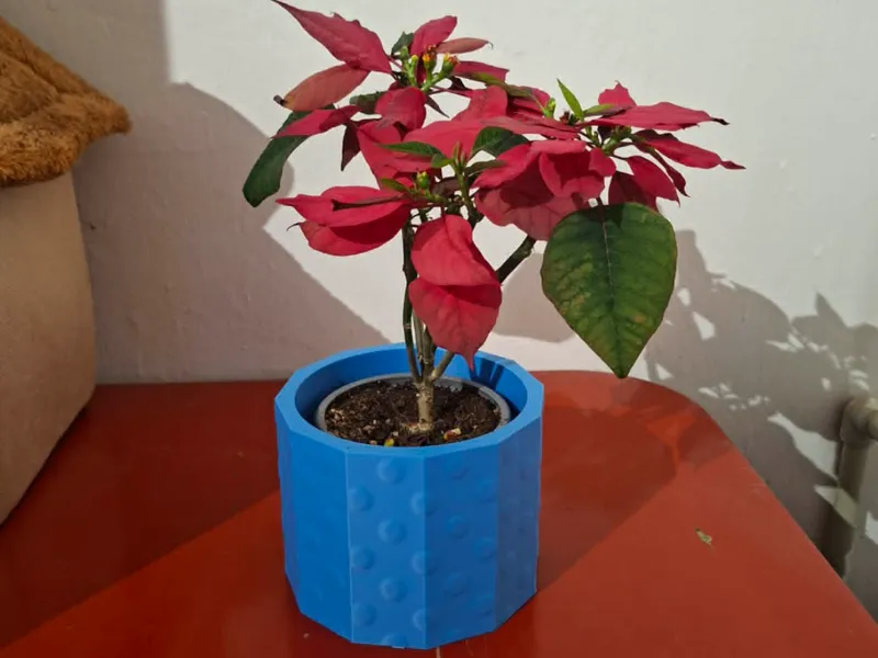 Bubble Flow Modern Planter