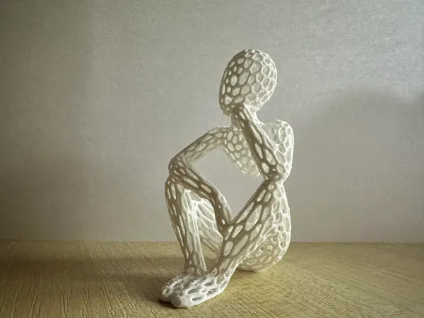 https://makerworld.bblmw.com/makerworld/model/USe371d3fef0ef54/design/2024-02-05_d717d5d33ee91.jpg