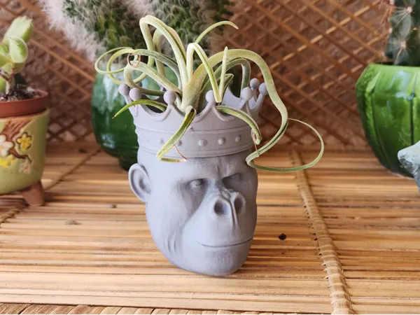 https://makerworld.bblmw.com/makerworld/model/USe376b567b51c7e/design/2025-09-14_0b811594a3501.jpg