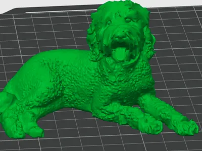 Golden Doodle model