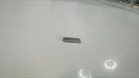 0.16mm layer, 2 walls, 15% infill
