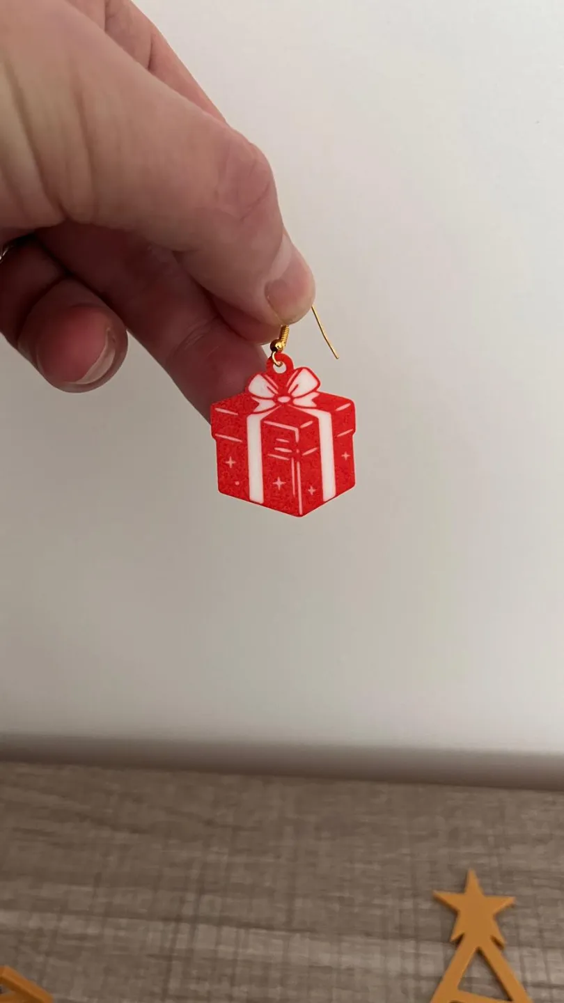 Earrings Gift view 2