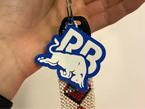 https://makerworld.bblmw.com/makerworld/model/USe37ba4cabebc75/design/2025-11-11_8d955a53d0b888.jpg