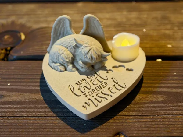 https://makerworld.bblmw.com/makerworld/model/USe3807195ad8a7d/design/2025-12-31_693ddda578e3d.jpg