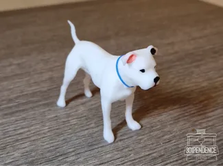Dogo Argentino Pitbull Dog