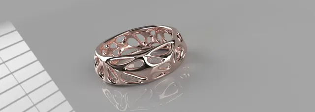 ORGANIC RING