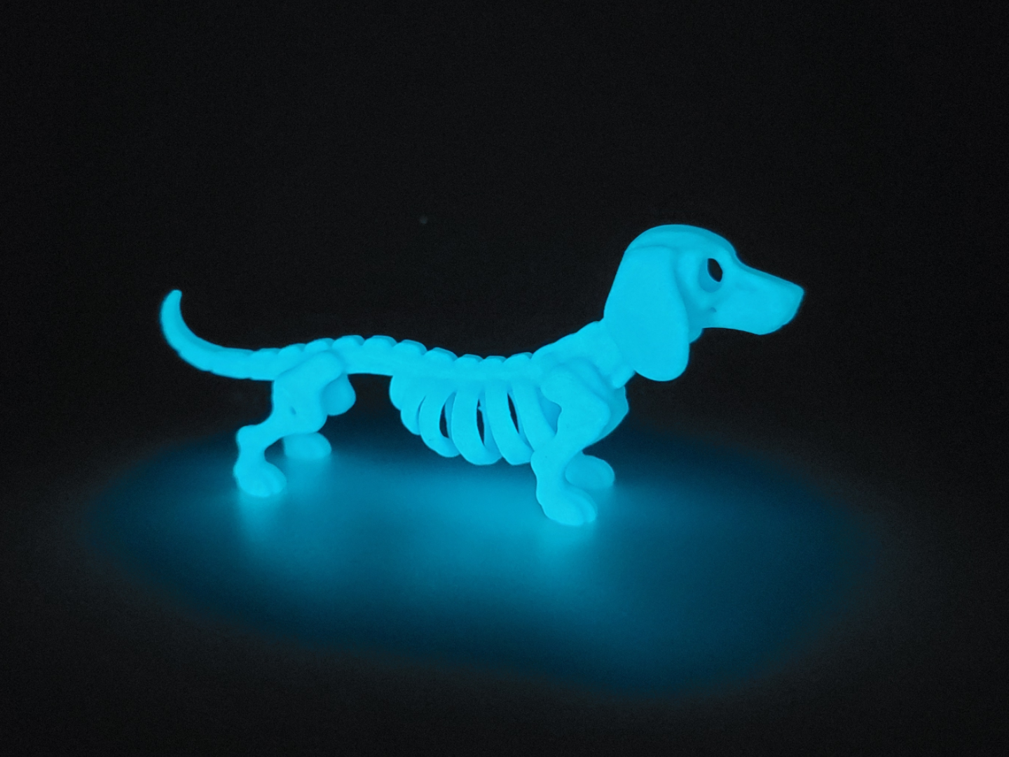 Glow in the Dark Skeleton Dachshund - 1