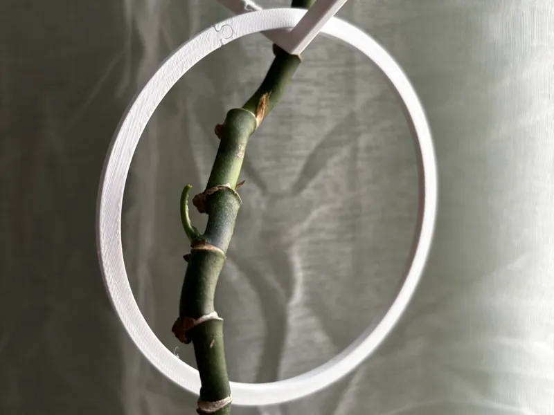 Trellis Chain