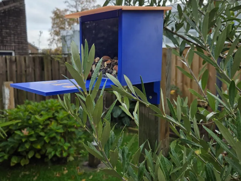 Squirrel Feeder