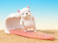 Bouledogue tranquille sur planche de surf — photo 1
