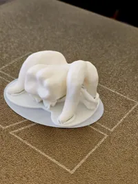 0.2mm layer, 2 walls, 80% infill