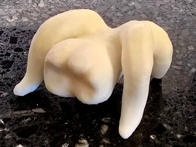 Mandibular Molar Swanky Demigordo