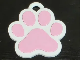 Llavero huella de gato