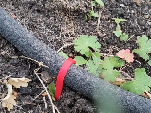 Gartenschlauch erdanker