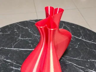 Double Heart Vase