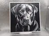 Labrador_170x170_A1 Mini