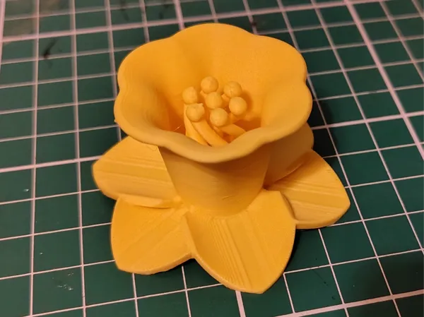 https://makerworld.bblmw.com/makerworld/model/USe3b054bba17adf/design/2025-01-14_65c4665d6bc05.jpg
