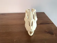 0.2mm layer, 2 walls, 5% infill