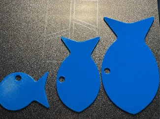 Fish Tag | Keychain | 3 Sizes