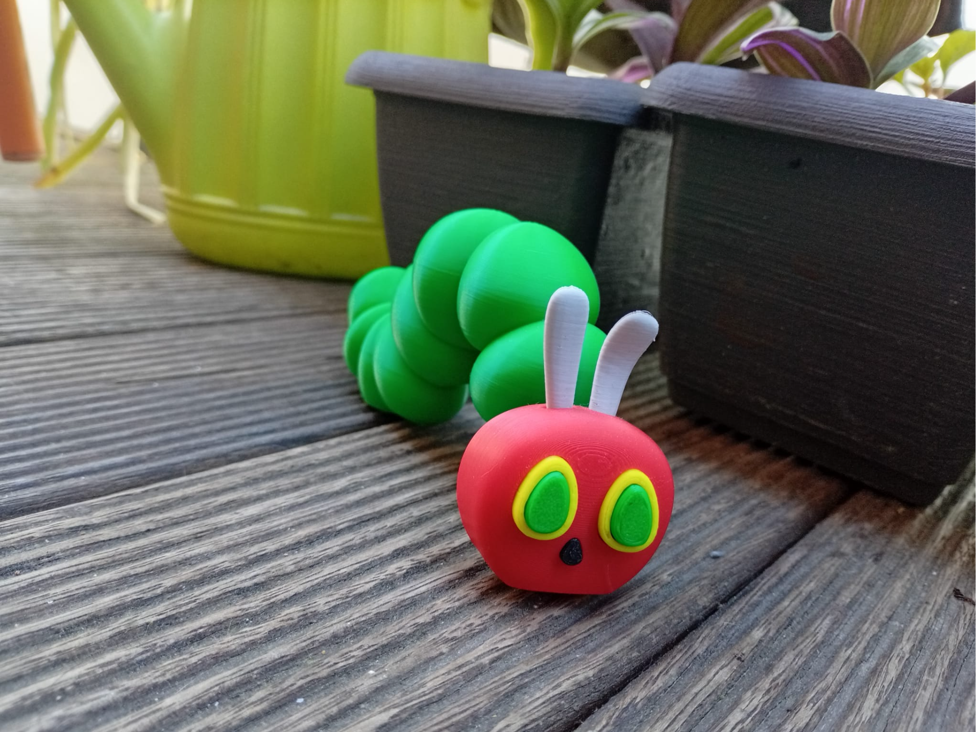 Hungry Caterpillar - No AMS