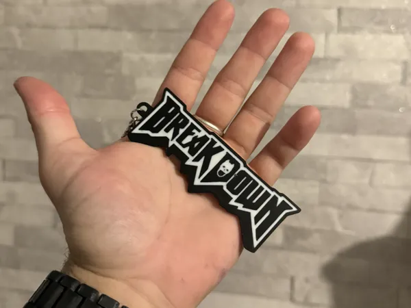 https://makerworld.bblmw.com/makerworld/model/USe3b70cb160922f/design/2025-03-15_8fef858584941.jpg