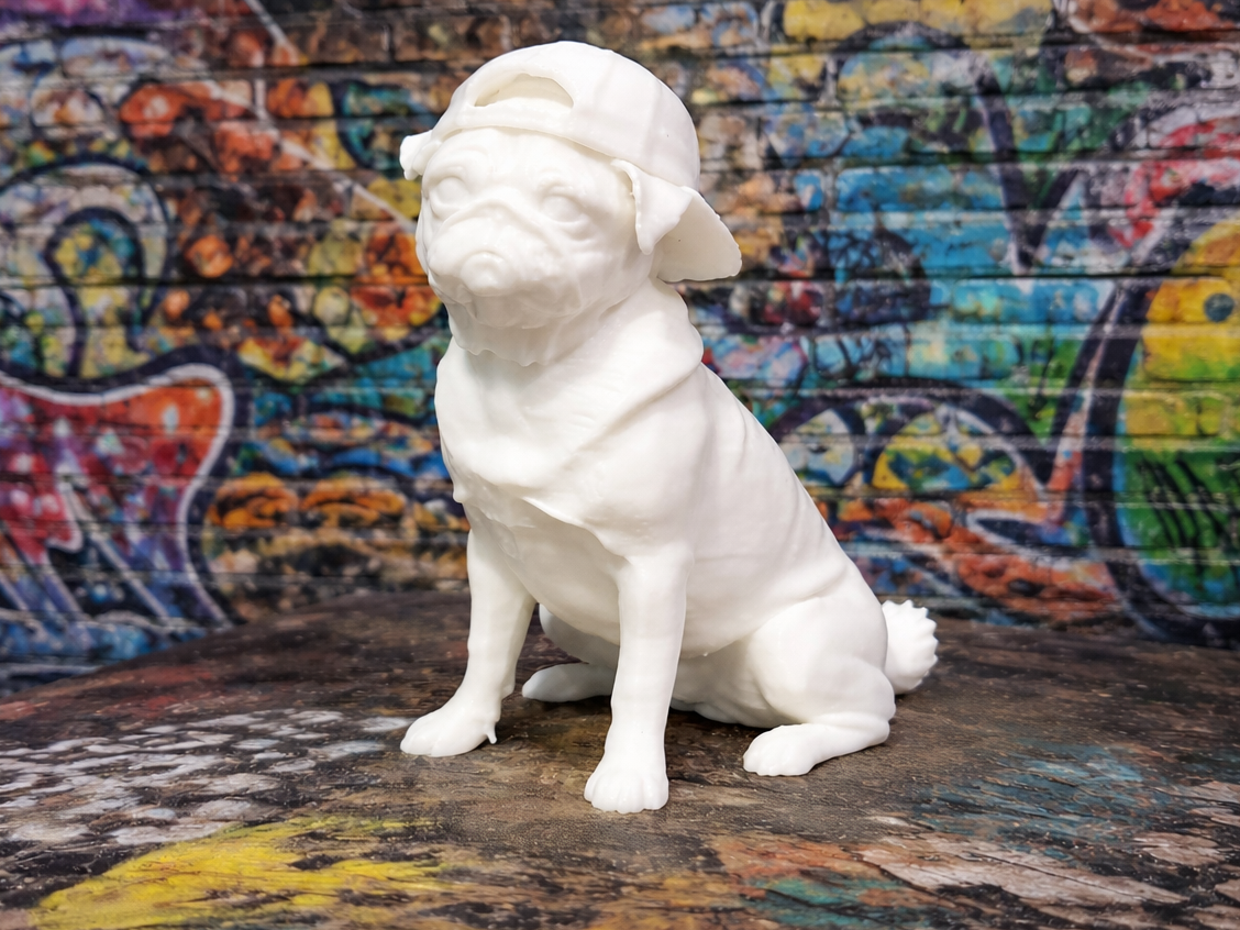 Pug Dog - Mops  - with cap - Animal - Dog