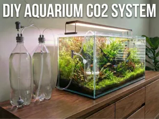 DIY co2 Aquarium bottle cap V2