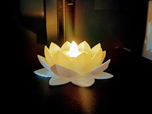 https://makerworld.bblmw.com/makerworld/model/USe3bd1dbfab9811/design/2026-01-15_067a7d8498207.jpg