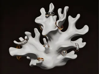 珊瑚形状戒指收纳架Coral-shaped ring storage rack