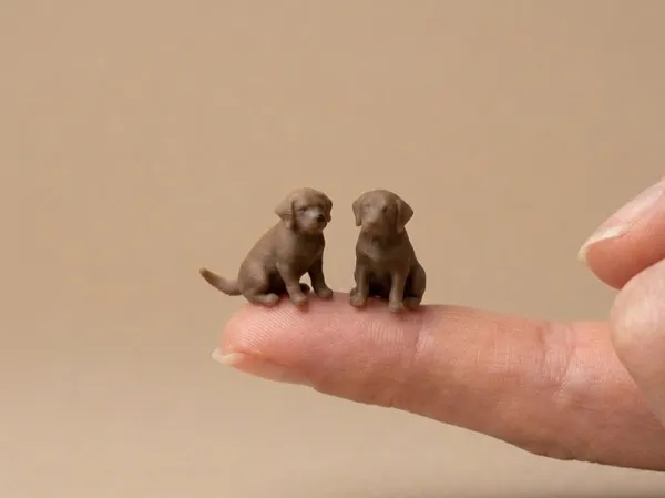 https://makerworld.bblmw.com/makerworld/model/USe3c364cec01a07/design/11752445f1711676.jpg