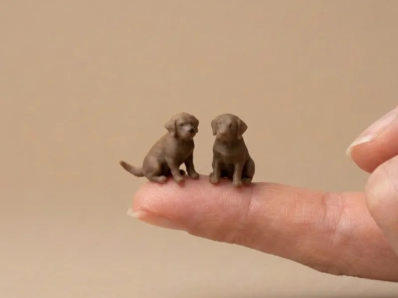 Mini buddy #36 - Dog