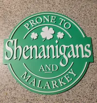 Enseigne irlandaise 'Shenanigans & Malarkey' — photo 6
