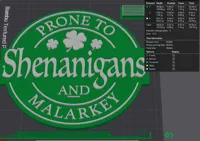 Enseigne irlandaise 'Shenanigans & Malarkey' — photo 5