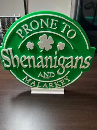 Enseigne irlandaise 'Shenanigans & Malarkey' — photo 8