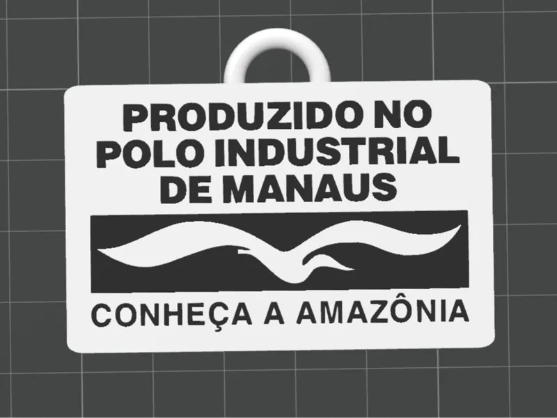 Chaveiro Polo Industrial de Manaus Keychain
