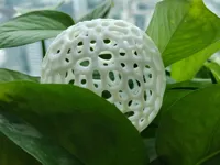 Boule organique Voronoi — photo 1