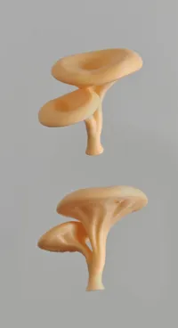 Fungus - 1