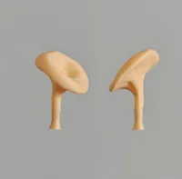 Fungus - 2