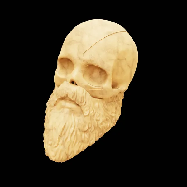 https://makerworld.bblmw.com/makerworld/model/USe3d35b4199ce8e/design/2023-11-22_cbff16c7c60a28.jpg