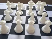 1 Set 0.2mm layer, 2 walls, 15% infill