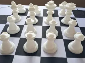 Duck Chess