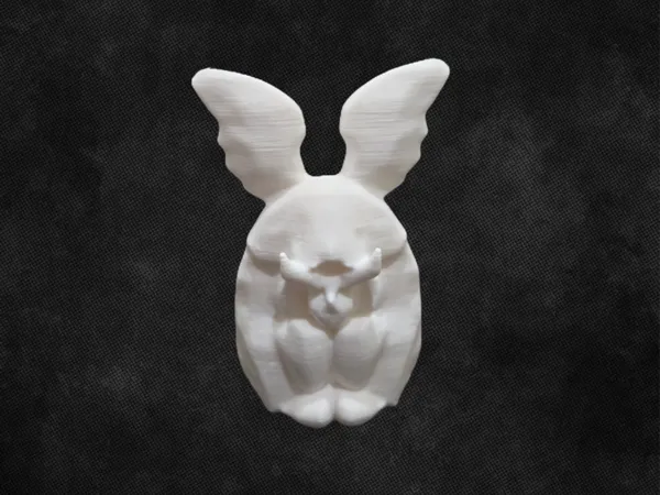 https://makerworld.bblmw.com/makerworld/model/USe3ec0cde167736/design/2025-01-23_990133948b76d.png