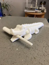 Crocodile à percussion — photo 4